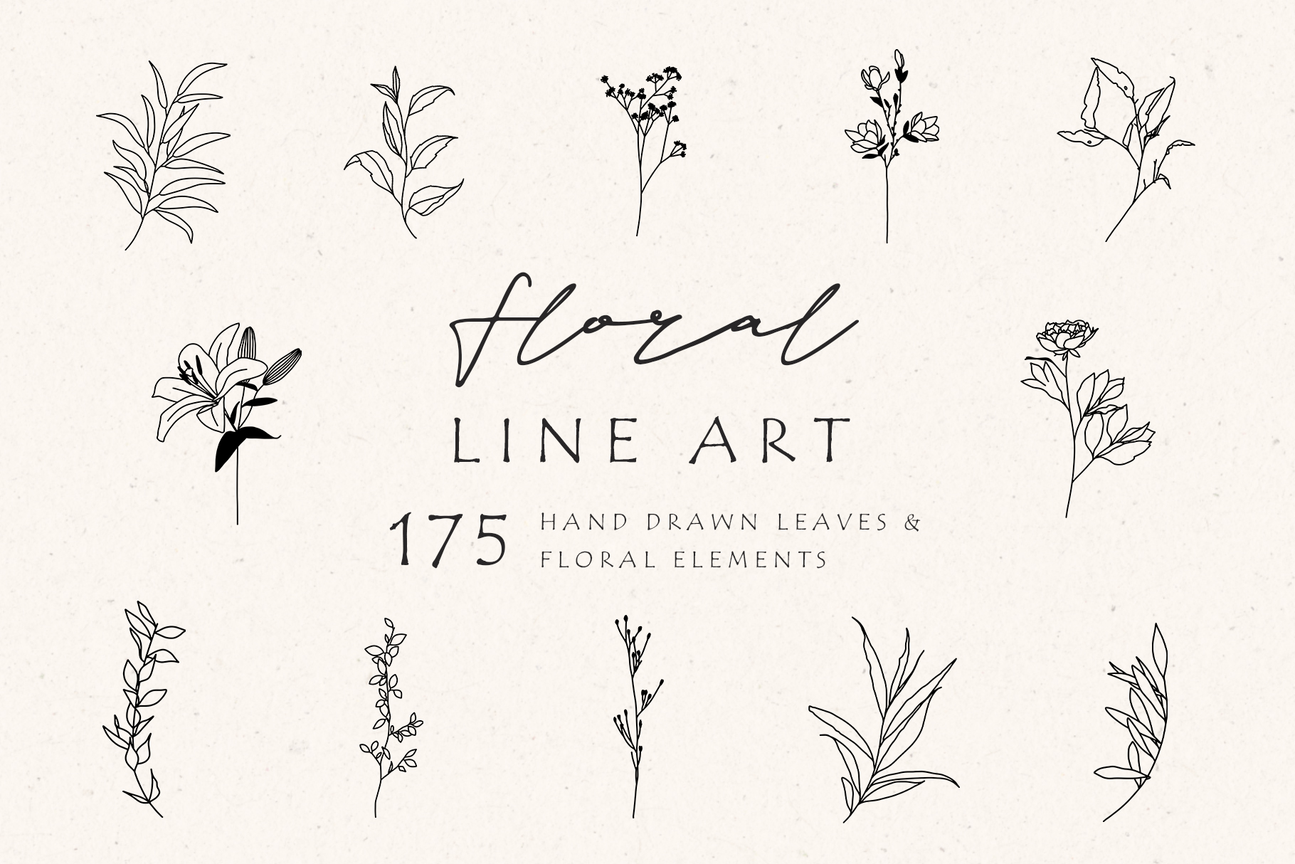 175 Floral Line Art Elements